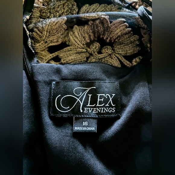 Alex Evenings/David's Bridal, Champagne-Black, Embroidered, Tulle Godets, Sz. 16 - Picture 6 of 15